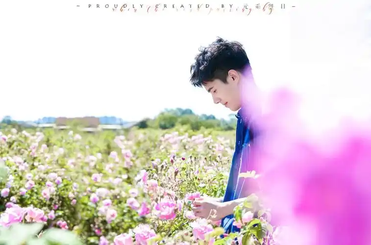 刘昊然 壁纸 背景 头像 高清无水印图