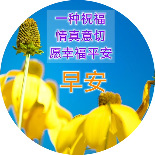 早上好问候语 最新早上好精致图片 最新微信最新带字早上好图片