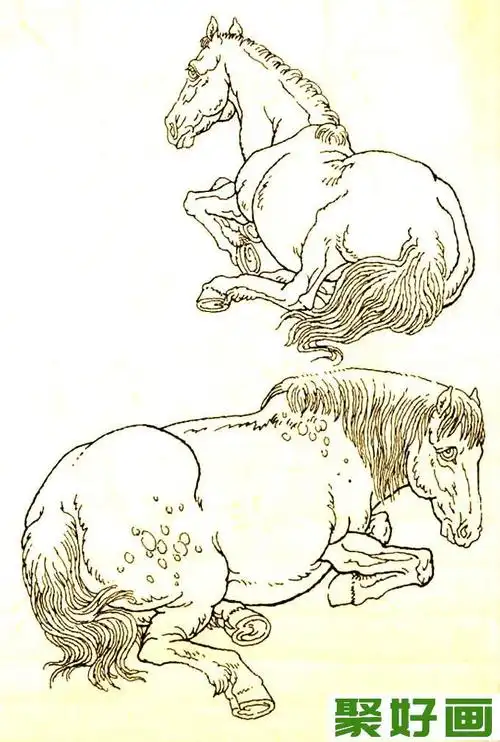 马的素描图片大全马的白描图骏马线描画法大图34副