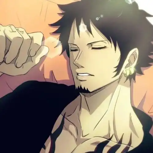 海贼王头像冷酷的外表内心却无比善良