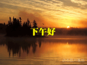 295_221gif 动态图 动图