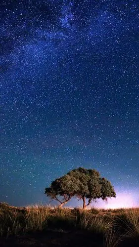 灿烂辉煌的星空