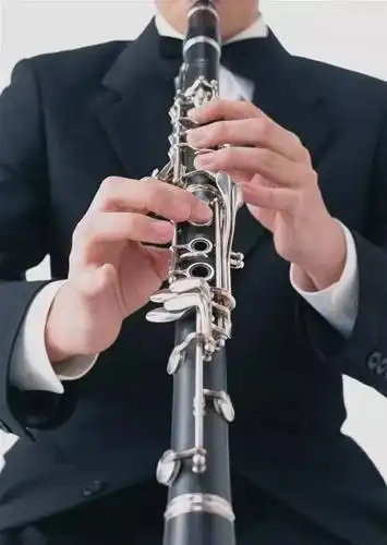 双黄管也叫克拉管,三音区各俱特色,是木管家族中最广泛的乐器.