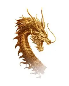 金龙