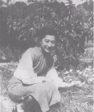 现在都怎么样了?杜月笙表示死也瞑目了