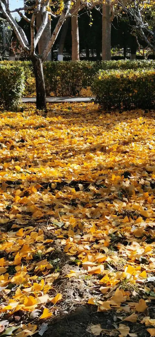 秋天风景自然美!