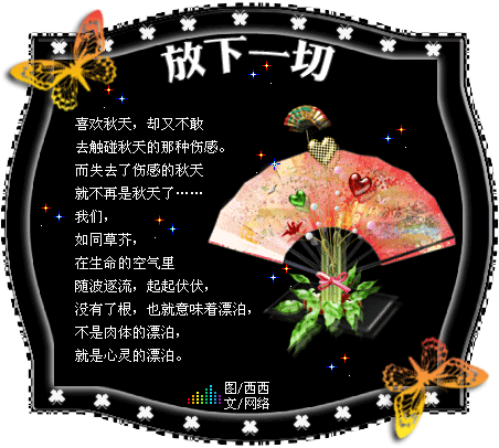 懂了放下,你就赢了!