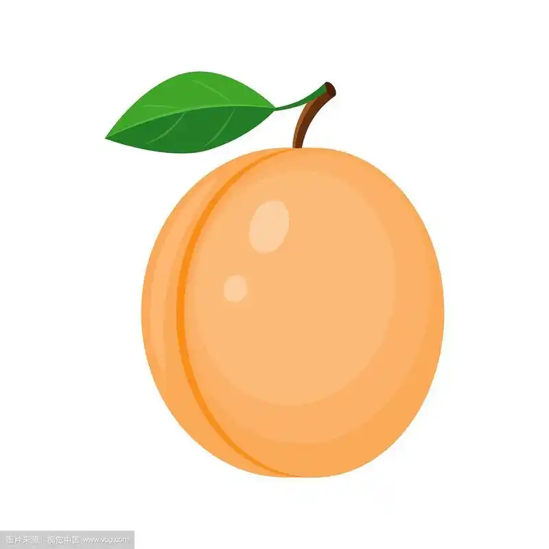 丰富多彩的卡通杏