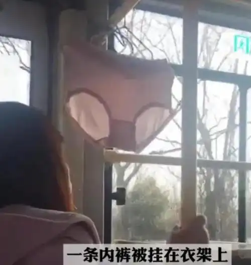 美女在公交车上公然晾晒内衣,称这样才能杀菌,网友:不嫌味大?