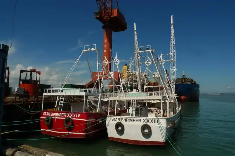 拖网渔船-扬帆集团股份有限公司