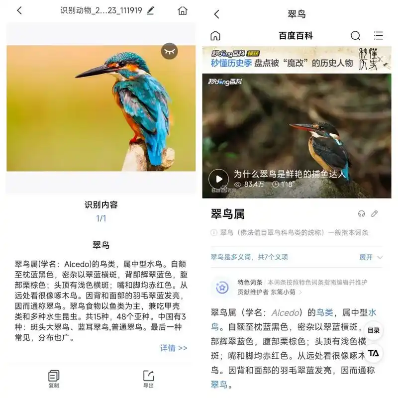 拍照就能识别植物,动物,数字,这个万能识别工具也太神奇了吧!