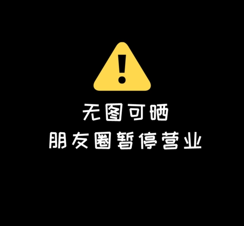 无图可晒朋友圈暂停营业