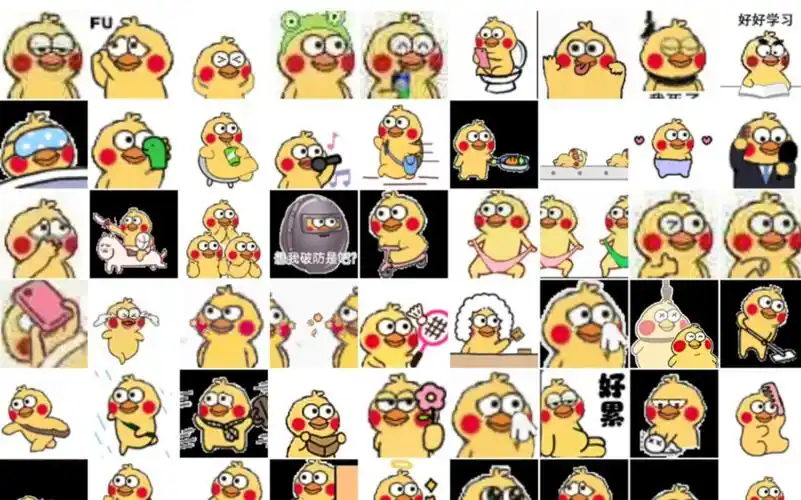 表情包/为小黄鸡尖叫吧