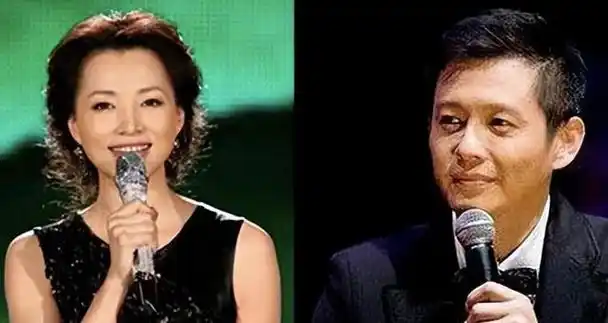 程前董卿同居6年50岁再婚娶了圈外娇妻如今60岁外貌巨变