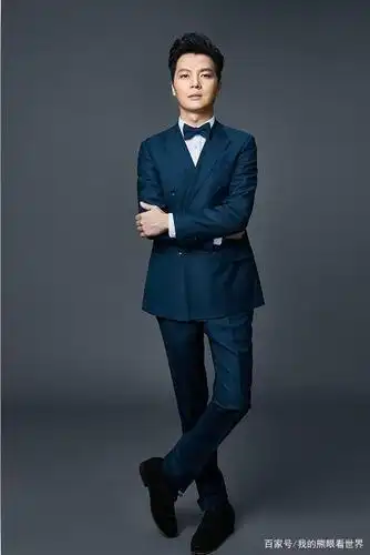 央视新一哥任鲁豫