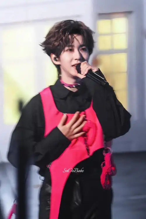 贺峻霖 梦蝶破笼