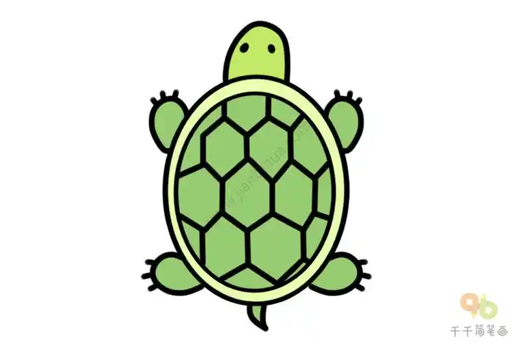 儿童创意简笔画教你用椭圆画乌龟