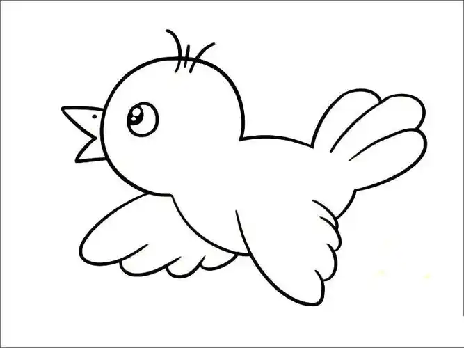 飞翔的小鸟简笔画_简笔画 - 搜图案网
