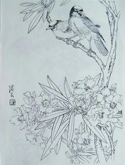 白描花鸟画