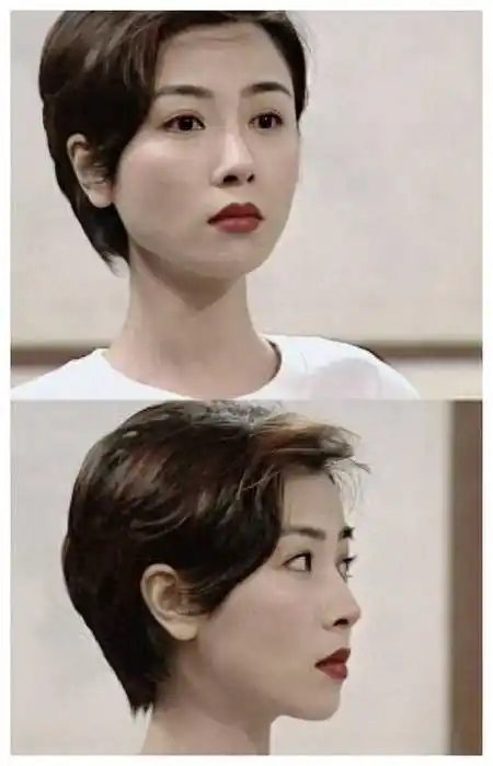 袁洁莹_短发_演艺