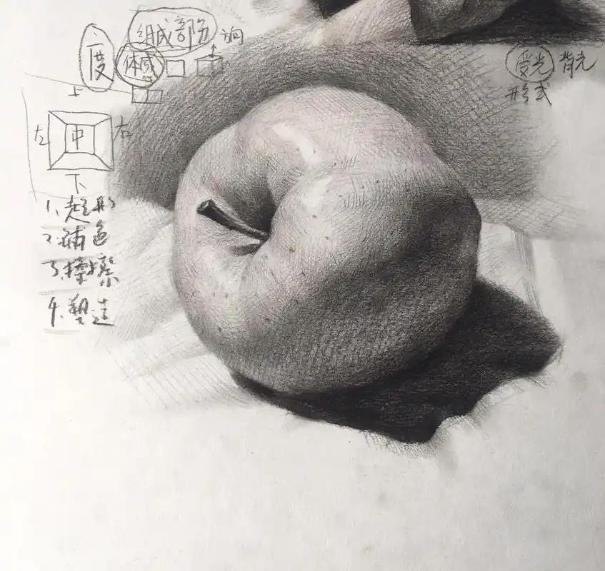 素描黄苹果步骤图.#海豚知道 #素描苹果步骤 #零基础学画画 - 抖音