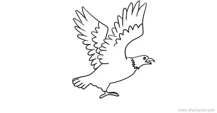 简笔画老鹰的画法教程