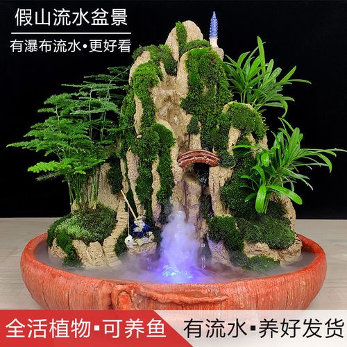 假山盆景植物室内文竹山水造景老桩树罗汉松悬崖吸水石假山小绿植