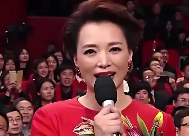 动态清空节目下架,到查无此人的董卿,这次真的要与荧幕告别了