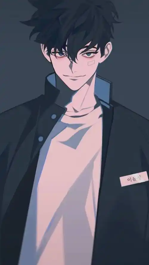 男生有没有眼镜都行必须是动漫的头发多点帅气希望能懂我描绘的人物