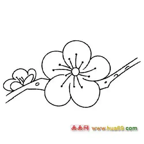 梅花花瓣简笔画