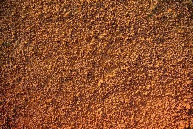 texture-花瓣网|陪你做生活的设计师 | 黄色泥土图片