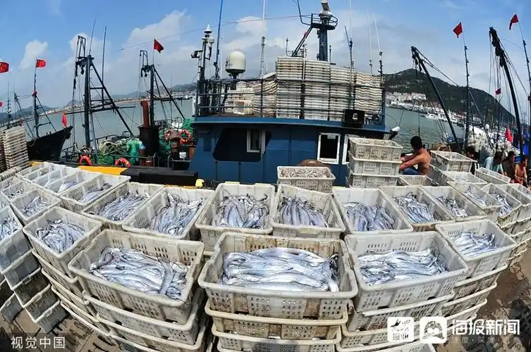 山东青岛开渔时节渔民喜获丰收