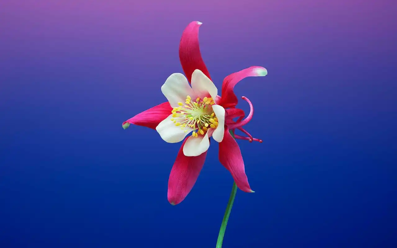 苹果ios11官方系统最新主题桌面壁纸图片上一张下一张查看原图