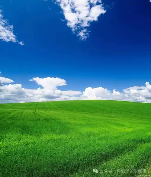 「海俪恩护眼科技」分享壁纸| 干净护眼的绿色系手机壁纸_高清_眼睛