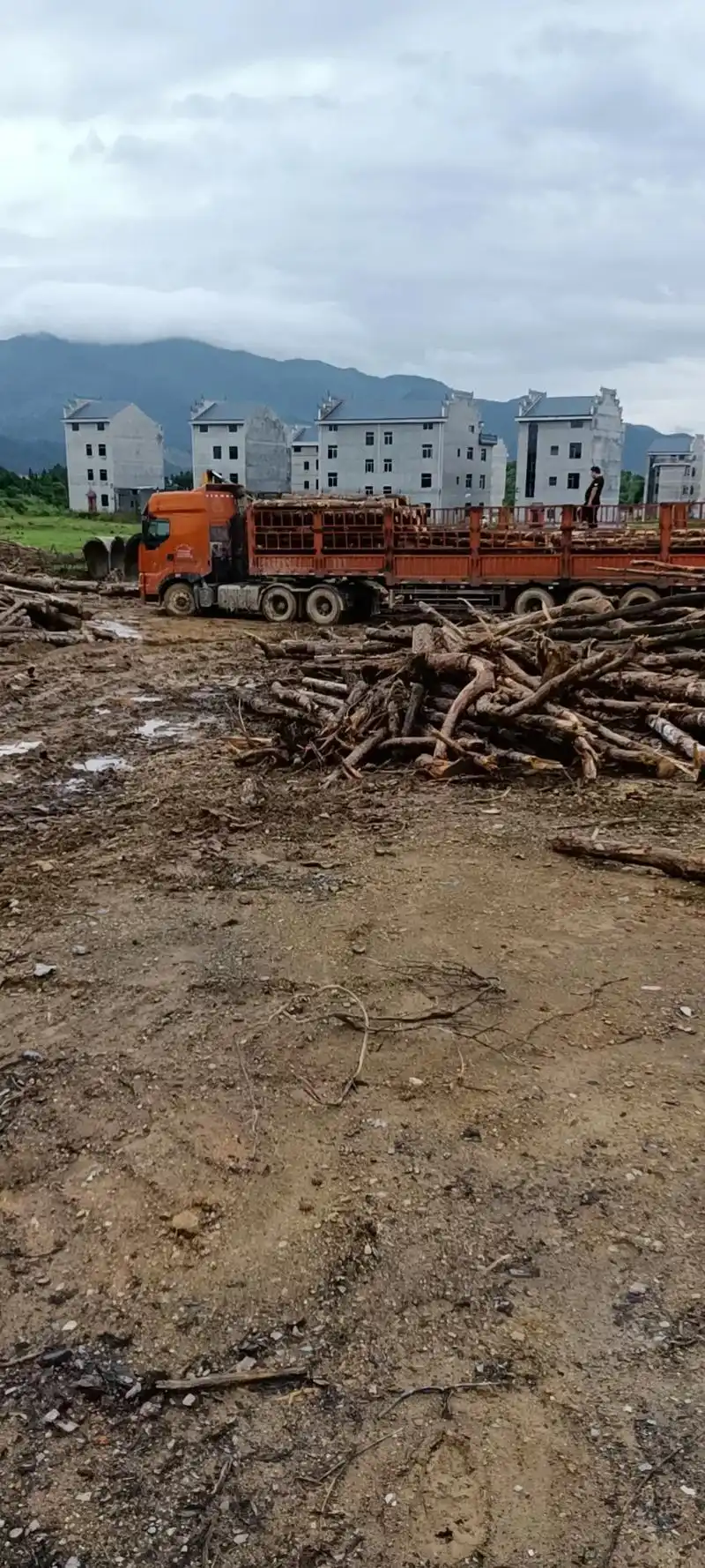 上车过磅付款.除运费.有货 - 抖音