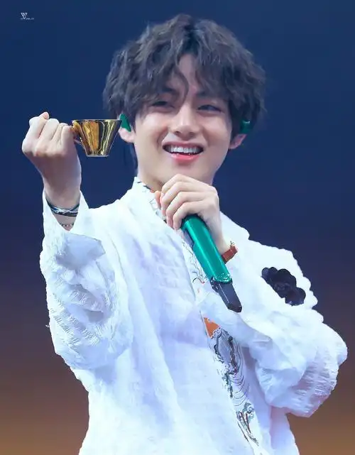 防弹少年团 金硕珍 闵玧其 郑号锡 金南俊 朴智旻 金泰亨 田柾国bts