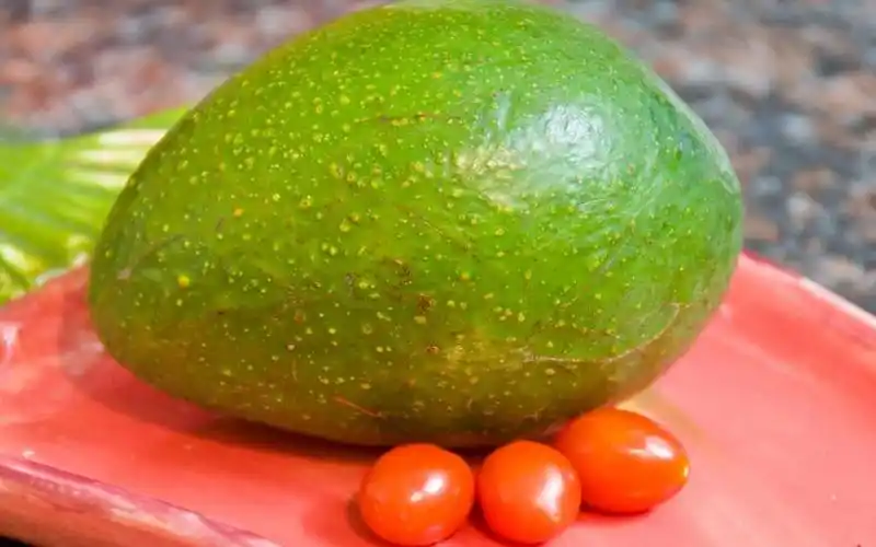 绿色小清新进口水果牛油果,高清壁纸图片,水果蔬菜-回车桌面