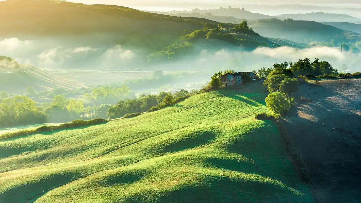 绿色林中草地电脑桌面壁纸 第一辑高清大图预览1920x1080_风景壁纸