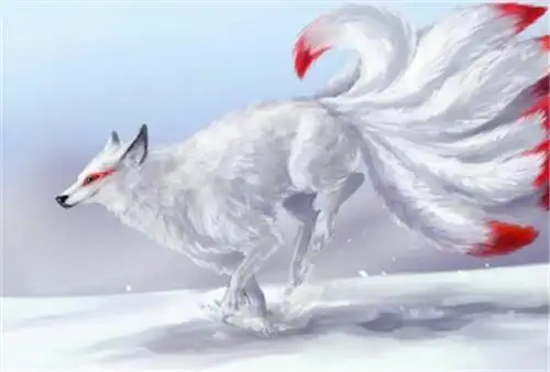 大家都知道夜华的真身是一条黑龙,而白浅的真身则是一直白色的九尾狐