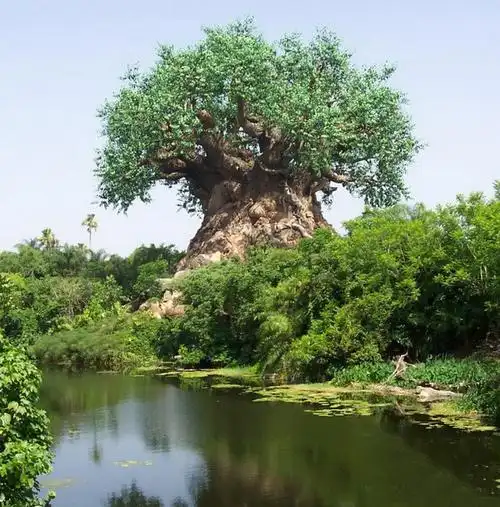 9  世界金奖摄影作品