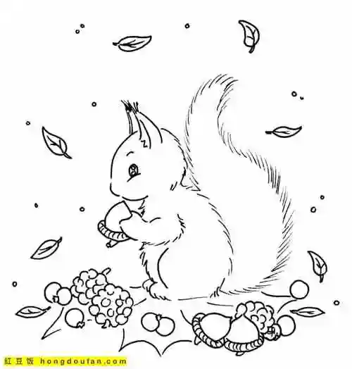 填色画,幼儿园,幼儿填色,幼儿涂色,打印,有趣,松鼠,松鼠简笔画,森林