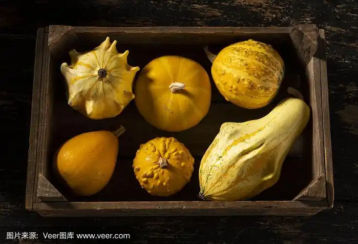 葫芦,南瓜,南瓜属,农业,蔬菜