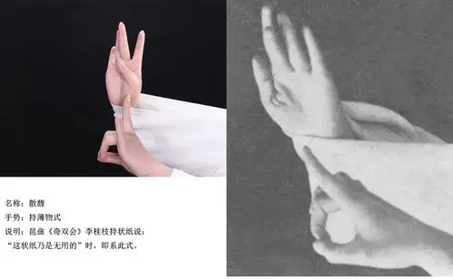 手舞艺术——梅派兰花指摄影展