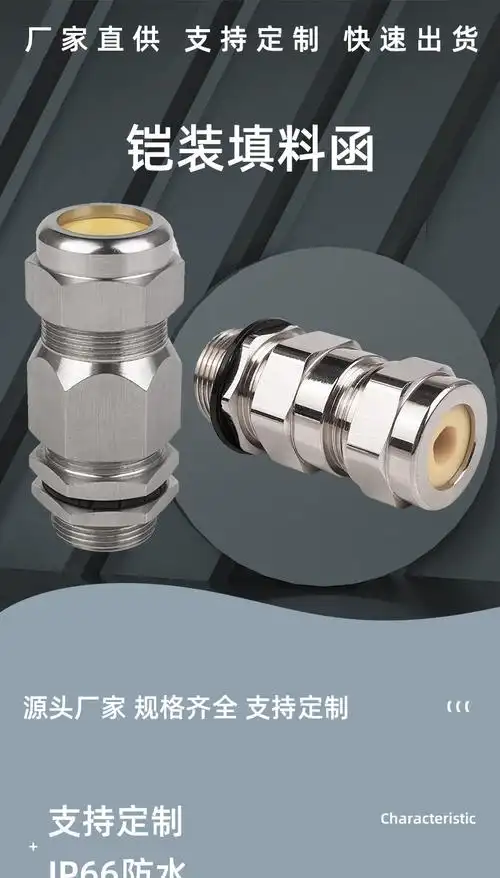 不锈钢铠装电缆防爆填料函金属黄铜防水双密封接头格兰头 bdm dqm