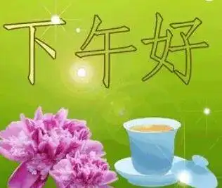 下午好表情图片大全下午好问候语表情图动图