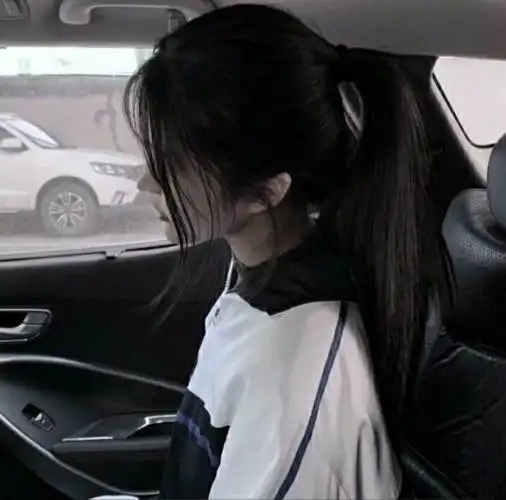 女生头像 高马尾-祖汐兮最新章节-免费小说-全文免费阅读-祖汐兮作品-