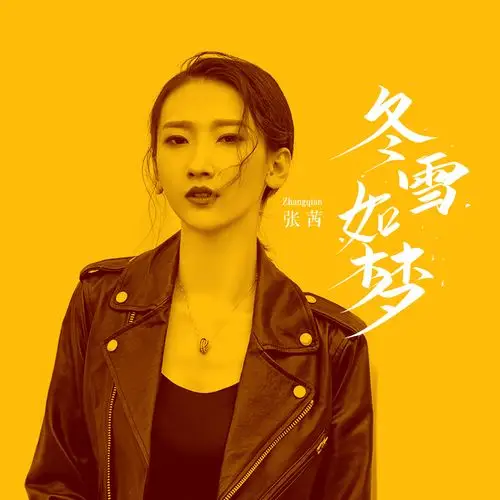 冬雪如梦_张茜_高音质在线试听_冬雪如梦歌词|歌曲下载_酷狗音乐