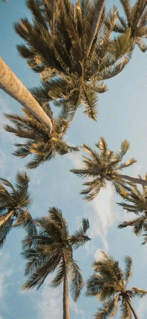 风景手机壁纸来啦!