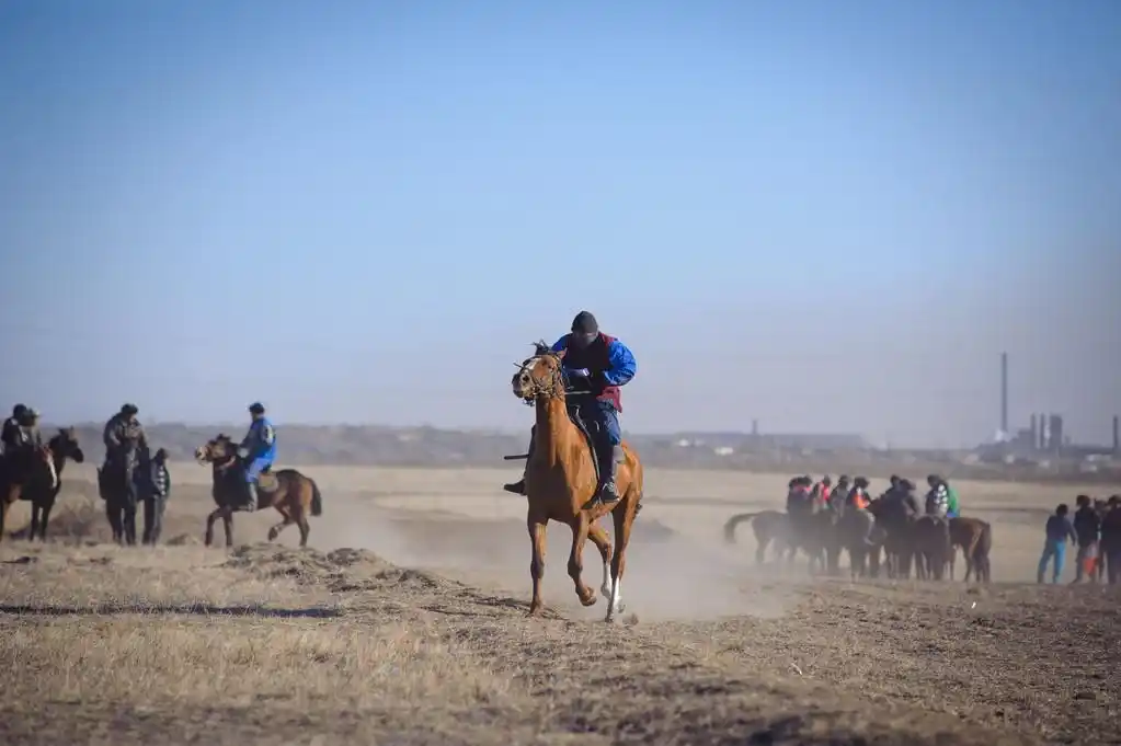 赛马.哈萨克斯坦.