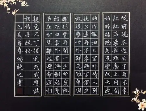 全国优秀硬笔书法作品欣赏